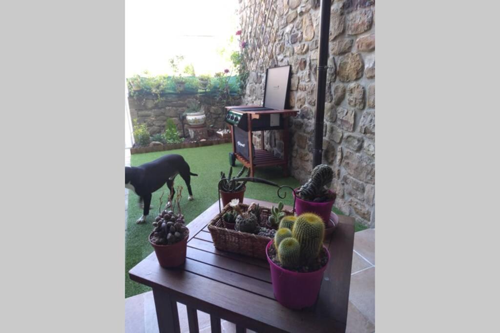 Casa Con Vistas En Ucieda 빌라 외부 사진